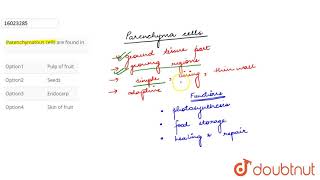 Parenchymatous cells are found in [upl. by Damiani]