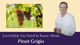 Pinot Grigio Everything You Need to Know  Including Suggested Food Pairings [upl. by Braasch]