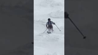 Stabilized Mogul Skiing [upl. by Eceirehs]