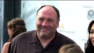 Autopsy Reveals James Gandolfini Dies of Heart Attack [upl. by Tnarb531]