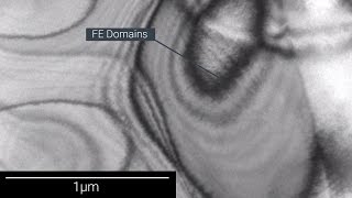 Domain evolution in ferroelectric material during electric field [upl. by Ijuy]