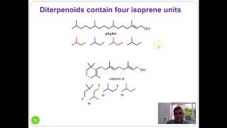 Lecture 1 Terpenes and Terpenoids [upl. by Herby]