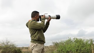 Canon RF200800mm  Product Review  Paras Chandaria [upl. by Treblah]