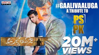 Gaali Vaaluga  A Tribute To PSPK  Telugu Song  Telugu Love Songs [upl. by Aiela865]