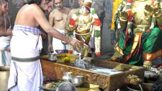 Thirumanjanam Sri Vidhya RajaGopala Swamy Mannargudi [upl. by Aisile146]