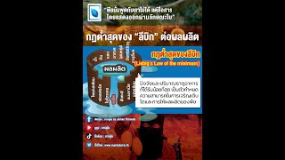 กฏต่ำสุดของลีบิก Liebigs Law of Minimum ต่อการเจริญและผลผลิตของพืช [upl. by Steddman]