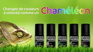 Tuto vernis chameleon Meanail Paris [upl. by Norreht]