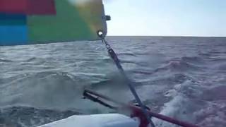 Hobie cat sailing in Bloody Bay near Negril Jamaica [upl. by Enawd]