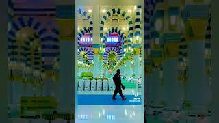 Woh mera nabi Hai  shortvideos music song viralvideo [upl. by Erdna]