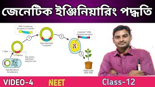 Process of Genetic engineering in Bengali  Lipofection Microingection Electroporation gene gun [upl. by Kolodgie]