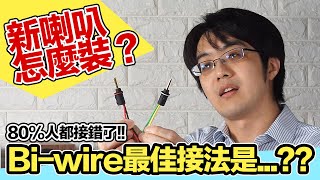 80的人都錯了！新喇叭有Biwire怎麼裝最好？正確方法觀念教學 [upl. by Enylodnewg9]