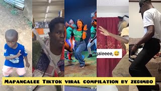 Mapangalee viral TikTok compilationdance challenge 🔥🔥🔥❤️🤩which one is your favorite kenyandance [upl. by Aronoel]