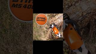 Massaker am Birkenstamm mit Stihl MS 400 stihlms400 stihl motorsäge chainsaw stihlchainsaw [upl. by Nanyk]