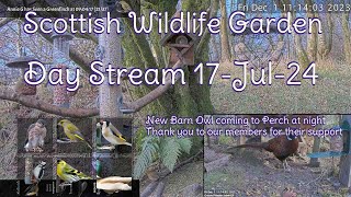 Day Stream July 17th 2024  Bird Feeders Wildlife Cameras Scotland UK from SWG [upl. by Arol]