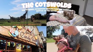 cotswolds vlog 🐛🌳 the frogmill cotswolds wildlife park and gardens burton on the water [upl. by Cohla]