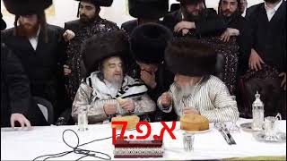 R Yakov Meir Shechter Mohel In Trebishan  Pinsk Karlin Sukkos 5785 [upl. by Erihppas205]