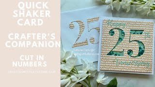 Quick and Easy Shaker Card  Crafters Companion Cut In Numbers [upl. by Mauve]