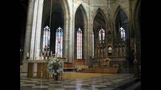 St Vitus Cathedral  Prague  Windows with stained glass [upl. by Casandra]