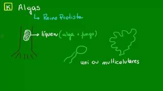 Características gerais das Algas  Diversidade dos Seres Vivos  Biologia [upl. by Dustie]