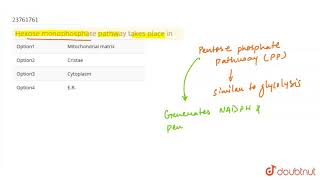 Hexose monophosphate pathway takes place in [upl. by Sucram]