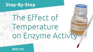 Effect of Temperature on Catechol Oxidase Activity BIOL101  Enzymatic Reactions Lab [upl. by Curran694]