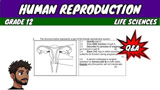 Human Reproduction Grade 12 Life Sciences [upl. by Esor]