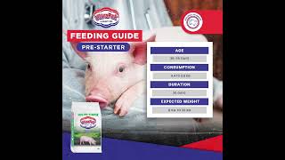 UltraPak Prestarter Feeding Guide [upl. by Mahla208]