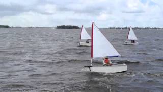 Optimist Mini sail in heavy winds [upl. by Bale]