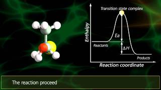 SN2 Reactions  University Of Surrey [upl. by Harday]