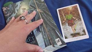 Intro  Activité tarot les Bois Sauvages 1  challengetarotbois [upl. by Favian]