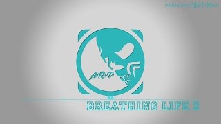 Breathing Life 2 by Niklas Gustavsson  Soft House Music [upl. by Finah]