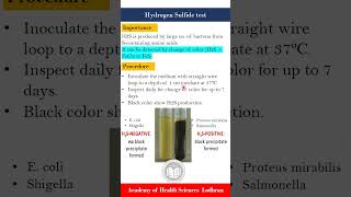 Hydrogen sulfide H2S test  Microbiology  by Imran Yaseen [upl. by Stoddard]