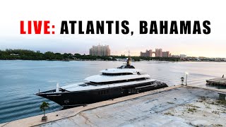 LIVE MY Loon Docking in Atlantis Bahamas  QampA with Captain Paul and Austin [upl. by Goer]