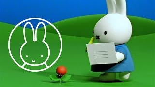 Miffy Gets A Postcard • Miffy amp Friends [upl. by Aleka413]