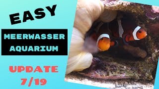 EASY Meerwasseraquarium Update 2 [upl. by Scrivens180]