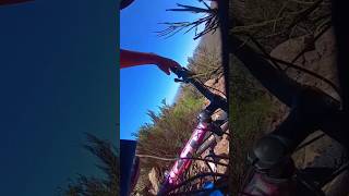 mtb El que avisa no traiciona 😂 fails shorts [upl. by Skelton]