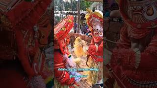 മലപൊട്ടനും മലകുറത്തിയും  Malapottan Malakurathi Theyyam kaliyattam theyyamkerala theyyam [upl. by Dorej224]