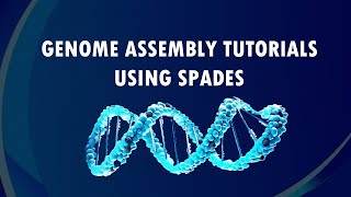 Genome Assembly Workflow Tutorial with SPADes  llumina Reads  Bioinformatics 101 for Beginners [upl. by Leimaj]