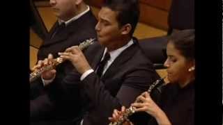 Johann Baptist VanhalConcierto para 2 Fagotes y Orquesta I Allegro [upl. by Xer]