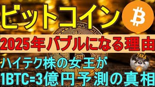 【ビットコインバブルが2025年に再来する理由】1BTC3億円ハイテク株の女王予測の真相【仮想通貨、投資分析】 [upl. by Salinas]