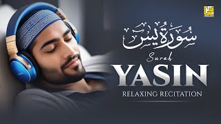 Surah Yasin Yaseen سورة يس  Relaxing heart touching voice  Zikrullah TV [upl. by Gibbs]