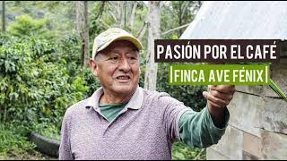 video finca ave fenix [upl. by Aveline]