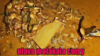 how to make sprouts curryulava molakalu masala Curry [upl. by Iht338]