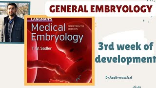 3rd WEEK OF DEVELOPMENT  EMBRYOLOGY embryology 3rdweek medical mbbs [upl. by Nedda]