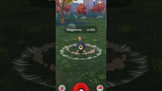 Pokémongo Roggenrola catch pokemongo​ pokemongoshorts​ pokémongo​ pokemongotipsandtricks [upl. by Auric]