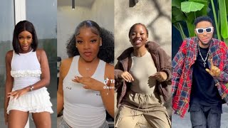 Pikkewyne Remix TikTok Dance Challenge [upl. by Lance]