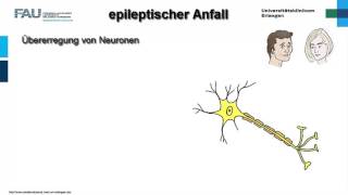 Neuropathologie ─ Epilepsie [upl. by Eido879]