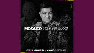 Mosaico Joe Arroyo [upl. by Reedy645]