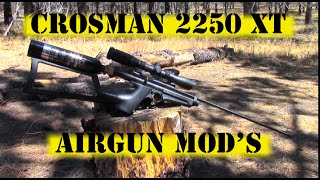 Crosman 2250XT Airgun Mods For Better Hunting [upl. by Garris]