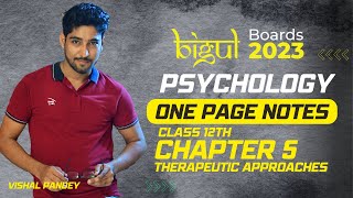 Class 12th Psychology Chapter 5  Therapeutic Approaches One Page Notes [upl. by Nivlem]